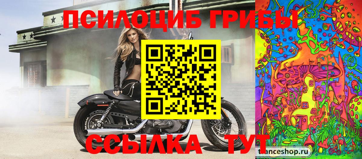 Сочи  Псилоцибиновые грибы Psilocybe  Вход с VPN 